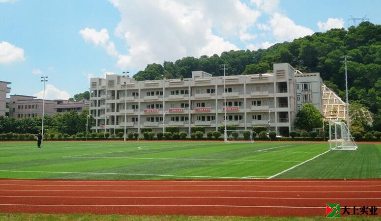 400米塑膠跑道8套燈桿白天實拍圖