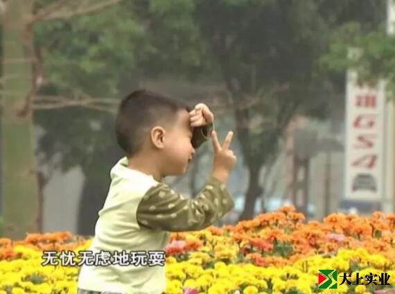 小朋友在運(yùn)動(dòng)主題公園玩耍