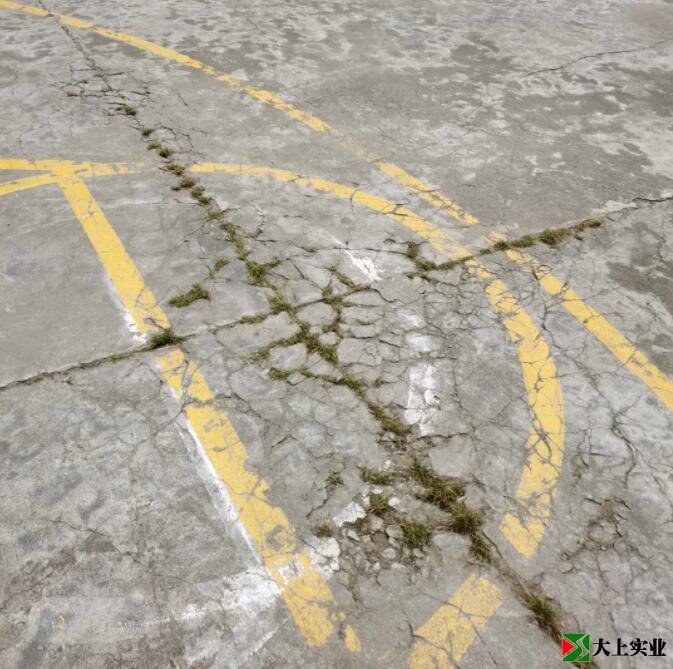 籃球場地面已開裂，并長出雜草。