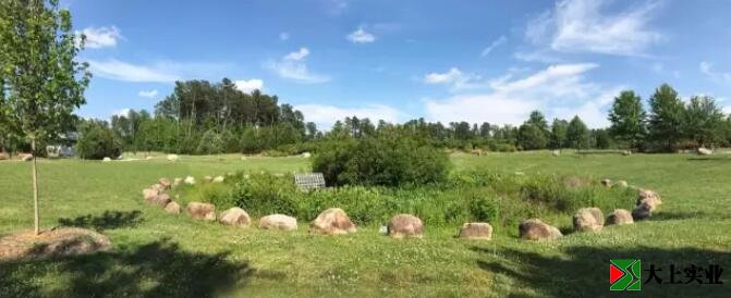 圖1  社區(qū)公園中有起伏的自然場(chǎng)地