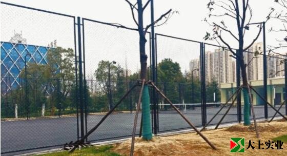 烽勝公園西側(cè)唯一的體育場(chǎng)地，室外網(wǎng)球場(chǎng)