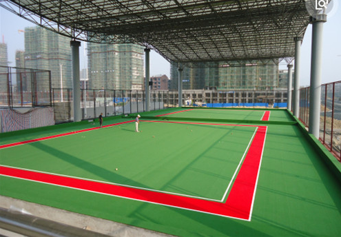 大上實(shí)業(yè)門球場